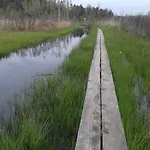 Birke Altusried