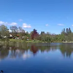 Birke Altusried