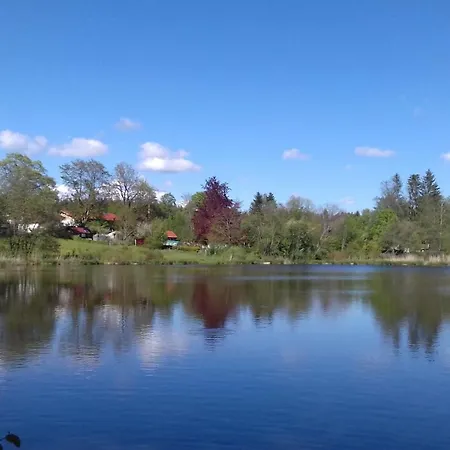 Birke Altusried