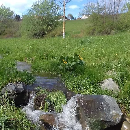 Διαμέρισμα Birke